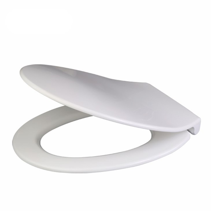 2 toilet-seat-replacement
